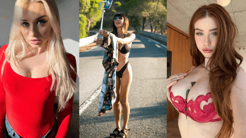 Top 5 most popular APClips categories revealed